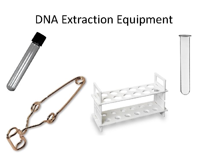 DNA Extraction Equipment 