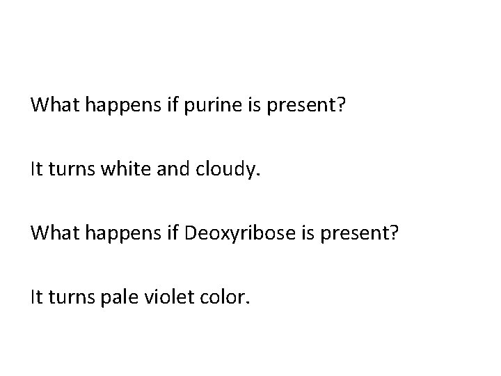 What happens if purine is present? It turns white and cloudy. What happens if