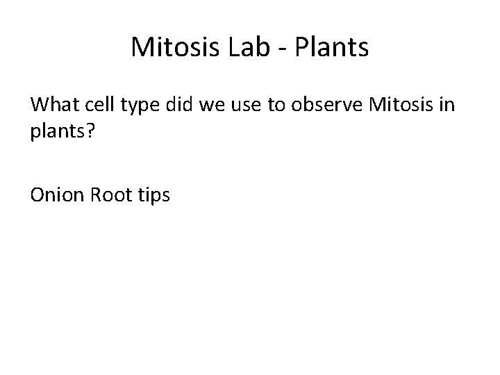 Mitosis Lab - Plants What cell type did we use to observe Mitosis in