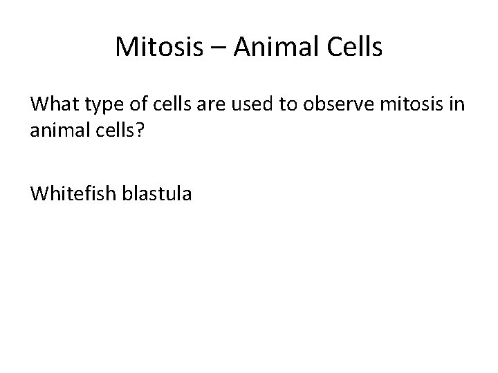 Mitosis – Animal Cells What type of cells are used to observe mitosis in