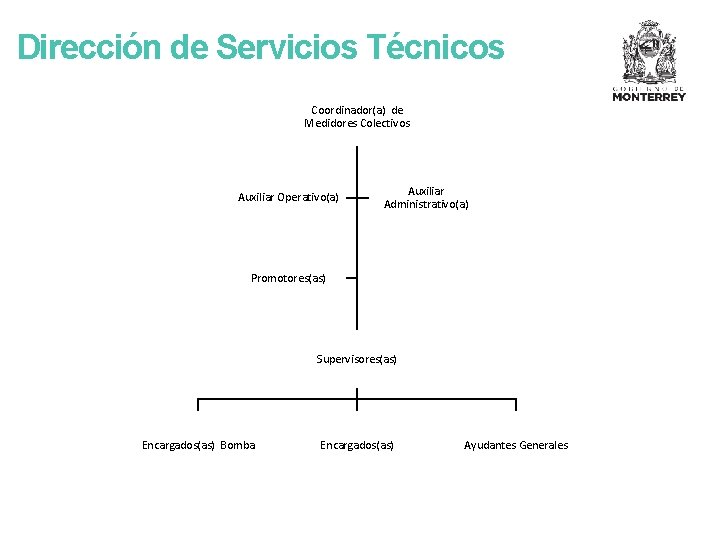 Dirección de Servicios Técnicos Coordinador(a) de Medidores Colectivos Auxiliar Operativo(a) Auxiliar Administrativo(a) Promotores(as) Supervisores(as)