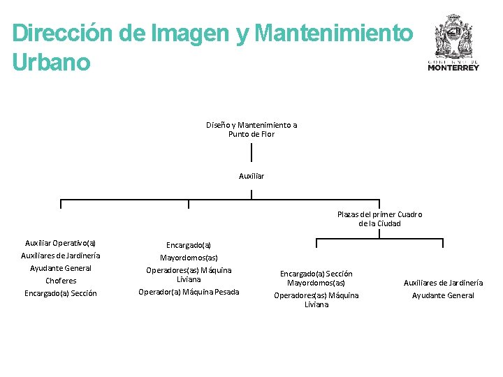 Dirección de Imagen y Mantenimiento Urbano Diseño y Mantenimiento a Punto de Flor Auxiliar