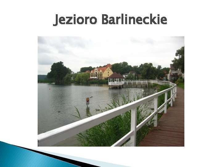 Jezioro Barlineckie 