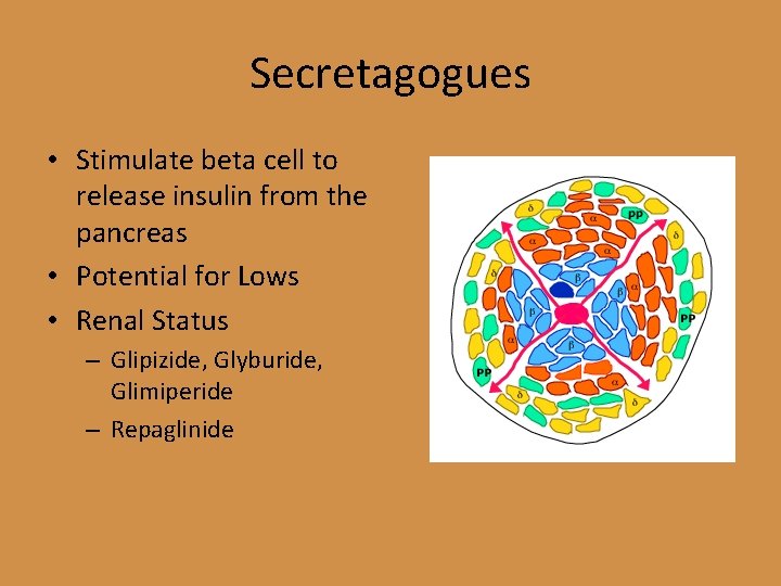 Secretagogues • Stimulate beta cell to release insulin from the pancreas • Potential for