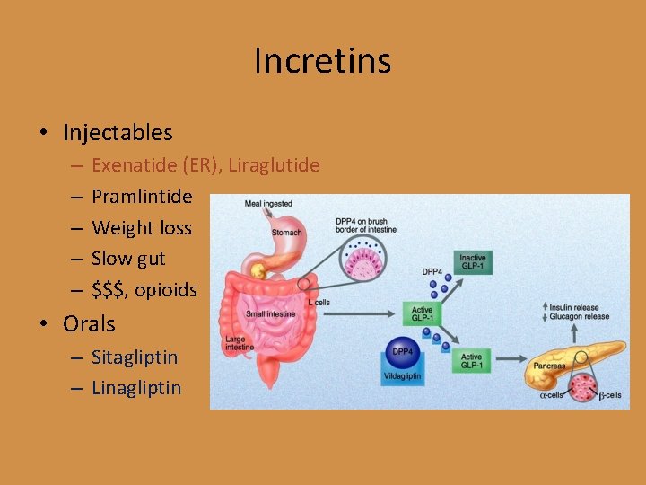 Incretins • Injectables – – – Exenatide (ER), Liraglutide Pramlintide Weight loss Slow gut