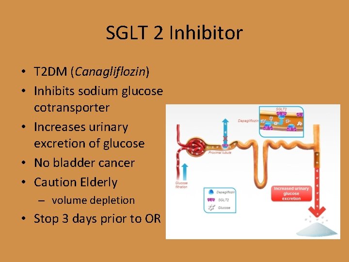 SGLT 2 Inhibitor • T 2 DM (Canagliflozin) • Inhibits sodium glucose cotransporter •