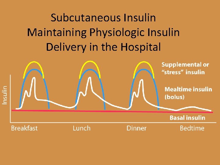 Subcutaneous Insulin Maintaining Physiologic Insulin Delivery in the Hospital 