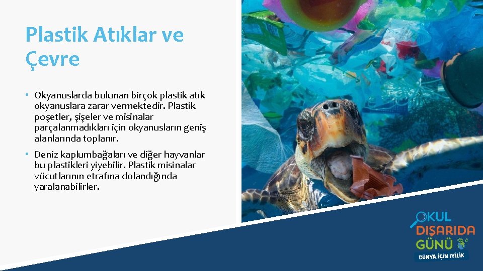 Plastik Atıklar ve Çevre • Okyanuslarda bulunan birçok plastik atık okyanuslara zarar vermektedir. Plastik