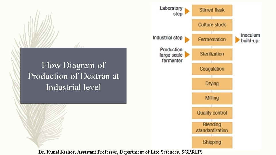 Flow Diagram of Production of Dextran at Industrial level Dr. Kunal Kishor, Assistant Professor,