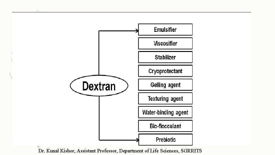 Dr. Kunal Kishor, Assistant Professor, Department of Life Sciences, SGRRITS 