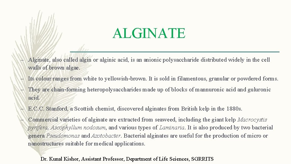 ALGINATE – Alginate, also called algin or alginic acid, is an anionic polysaccharide distributed