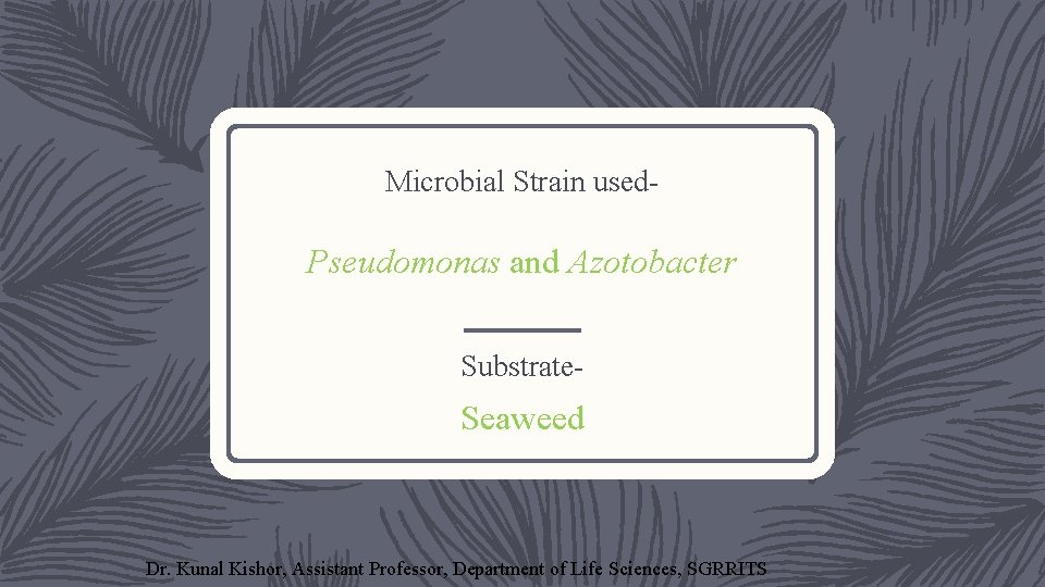 Microbial Strain used- Pseudomonas and Azotobacter Substrate- Seaweed Dr. Kunal Kishor, Assistant Professor, Department