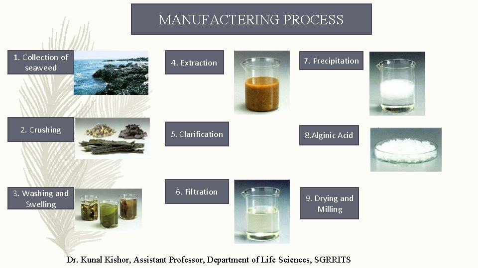 MANUFACTERING PROCESS 1. Collection of seaweed 2. Crushing 3. Washing and Swelling 4. Extraction