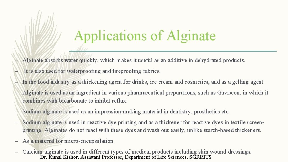 Applications of Alginate – Alginate absorbs water quickly, which makes it useful as an