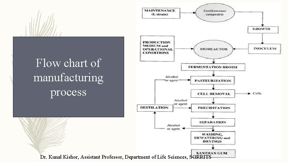 Flow chart of manufacturing process Dr. Kunal Kishor, Assistant Professor, Department of Life Sciences,