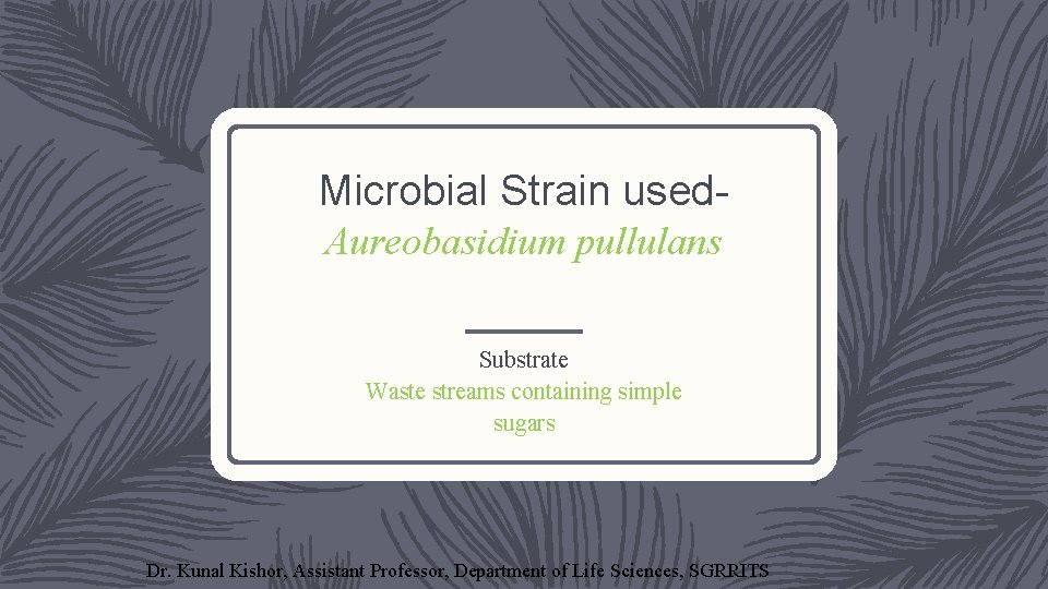 Microbial Strain used. Aureobasidium pullulans Substrate Waste streams containing simple sugars Dr. Kunal Kishor,