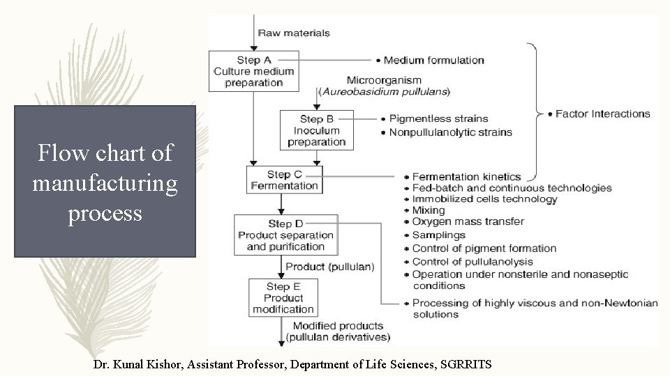 Flow chart of manufacturing process Dr. Kunal Kishor, Assistant Professor, Department of Life Sciences,