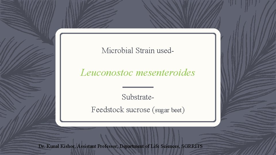 Microbial Strain used- Leuconostoc mesenteroides Substrate. Feedstock sucrose (sugar beet) Dr. Kunal Kishor, Assistant