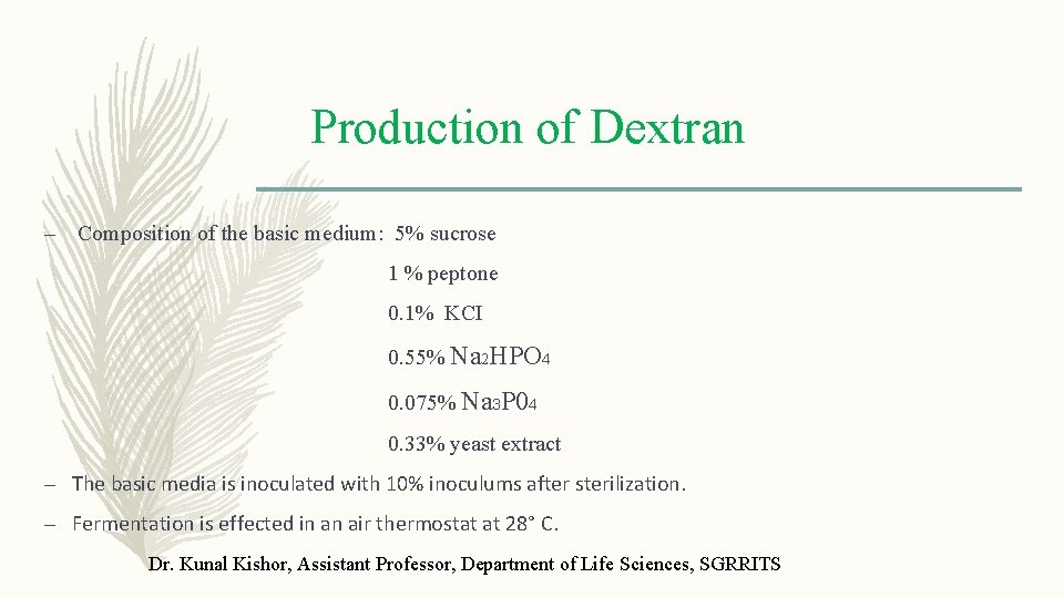 Production of Dextran – Composition of the basic medium: 5% sucrose 1 % peptone