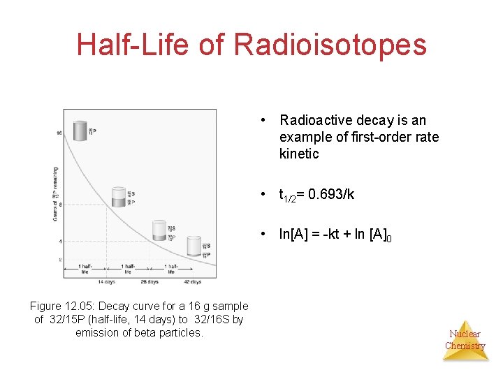Half-Life of Radioisotopes • Radioactive decay is an example of first-order rate kinetic •
