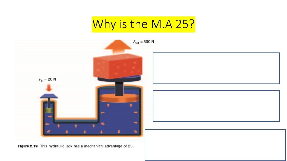 Why is the M. A 25? Because a 20 N weight can lift 500