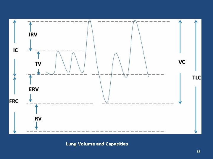 Lung Volume and Capacities 32 Lung Volume and Capacities 32