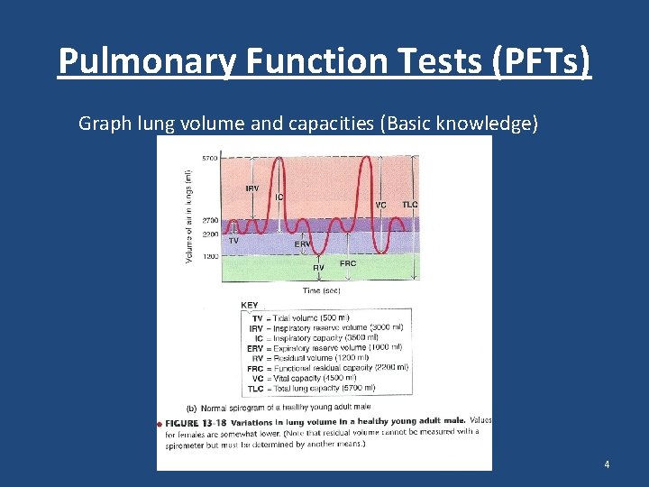 Pulmonary Function Tests (PFTs) Graph lung volume and capacities (Basic knowledge) 4 Pulmonary Function Tests (PFTs) Graph lung volume and capacities (Basic knowledge) 4