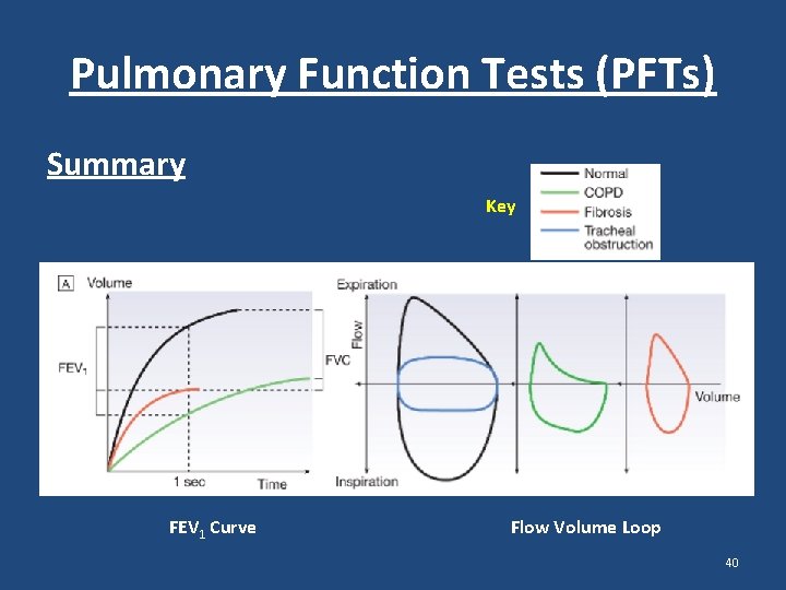 Pulmonary Function Tests (PFTs) Summary Key FEV 1 Curve Flow Volume Loop 40 Pulmonary Function Tests (PFTs) Summary Key FEV 1 Curve Flow Volume Loop 40