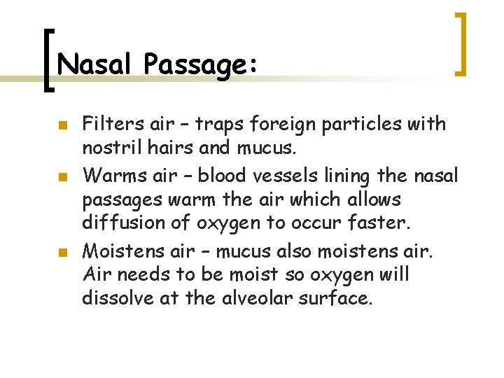 Nasal Passage: n n n Filters air – traps foreign particles with nostril hairs