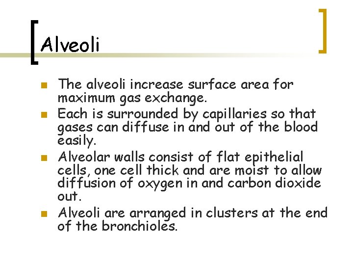 Alveoli n n The alveoli increase surface area for maximum gas exchange. Each is