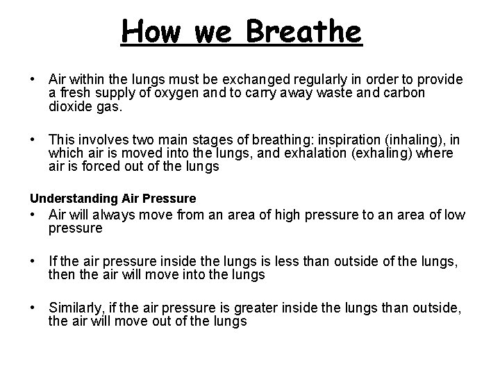 How we Breathe • Air within the lungs must be exchanged regularly in order