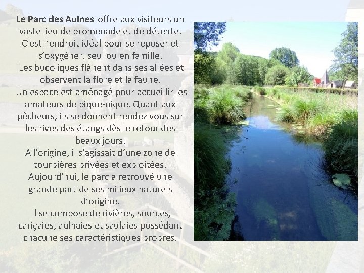 Le Parc des Aulnes offre aux visiteurs un vaste lieu de promenade et de