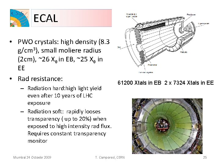 ECAL • PWO crystals: high density (8. 3 g/cm 3), small moliere radius (2