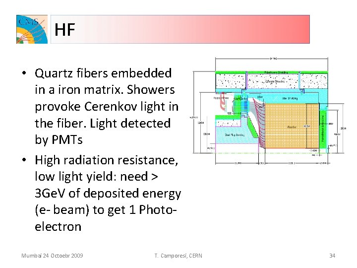 HF • Quartz fibers embedded in a iron matrix. Showers provoke Cerenkov light in
