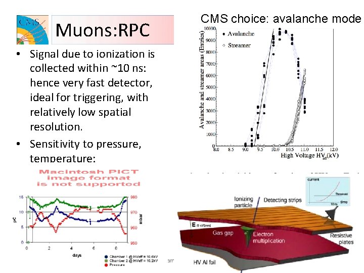 Muons: RPC CMS choice: avalanche mode • Signal due to ionization is collected within