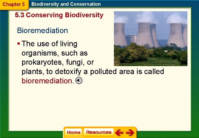 Chapter 5 Biodiversity and Conservation 5. 3 Conserving Biodiversity Bioremediation § The use of