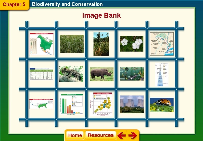 Chapter 5 Biodiversity and Conservation Image Bank 