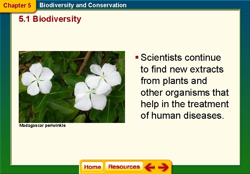 Chapter 5 Biodiversity and Conservation 5. 1 Biodiversity § Scientists continue to find new