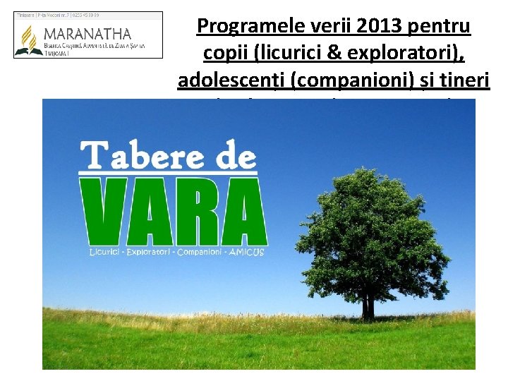 Programele verii 2013 pentru copii (licurici & exploratori), adolescenți (companioni) și tineri (inclusiv studenți