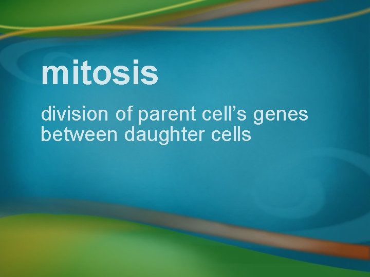 mitosis division of parent cell’s genes between daughter cells 