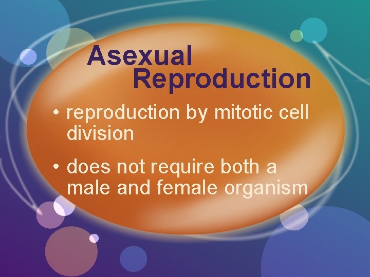 Asexual Reproduction • reproduction by mitotic cell division • does not require both a