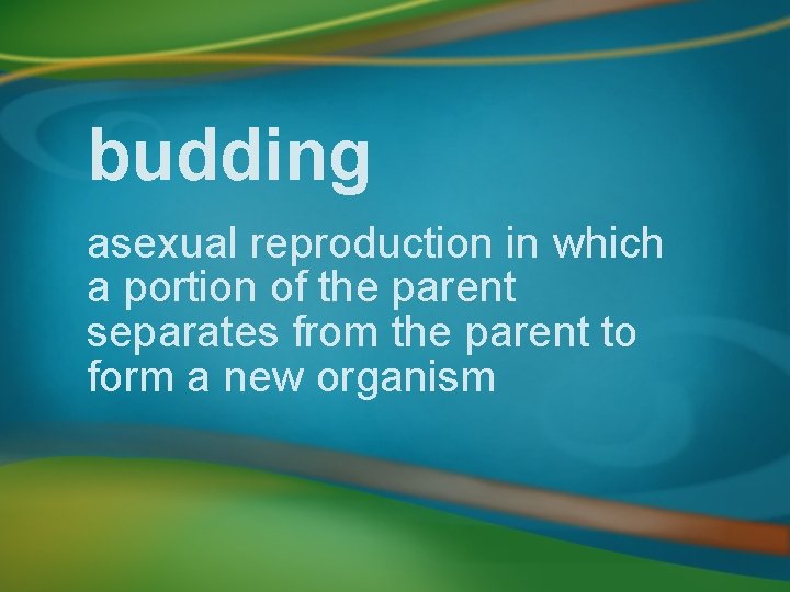 budding asexual reproduction in which a portion of the parent separates from the parent