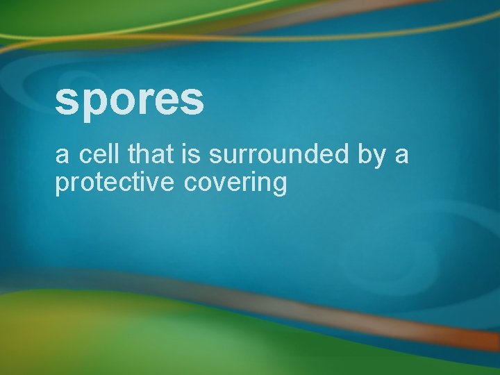 spores a cell that is surrounded by a protective covering 