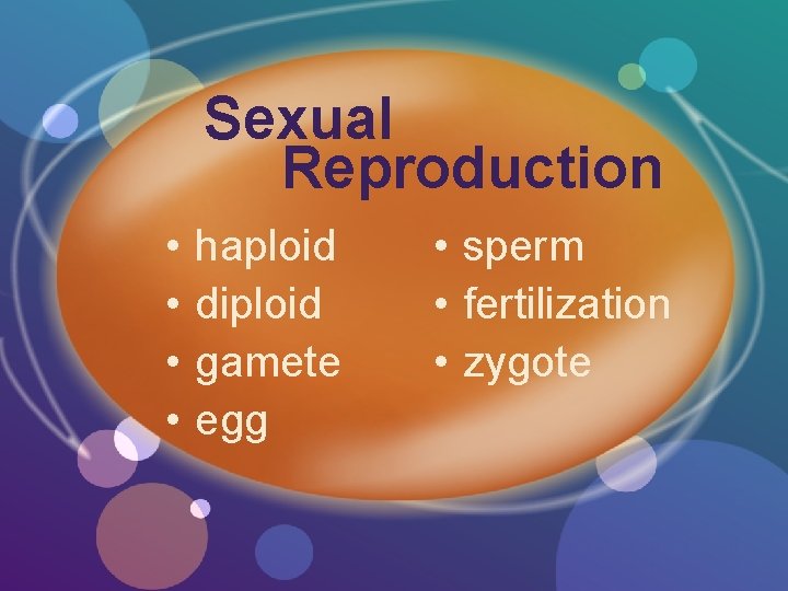 Sexual Reproduction • • haploid diploid gamete egg • sperm • fertilization • zygote
