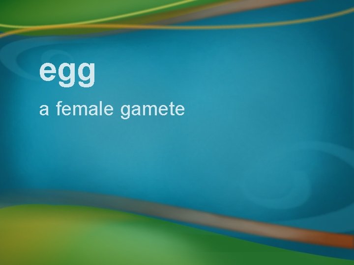 egg a female gamete 