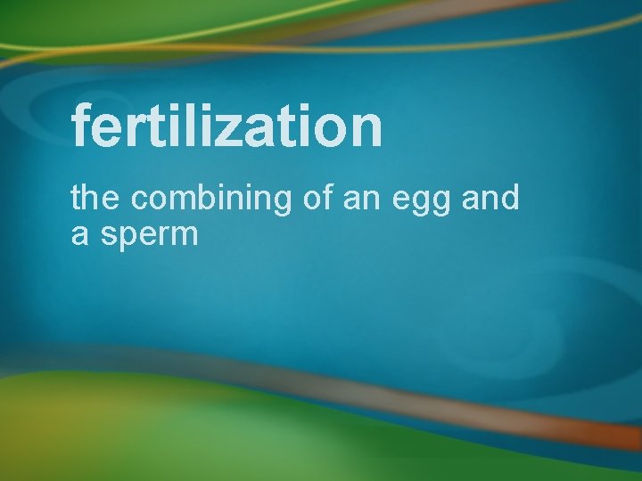 fertilization the combining of an egg and a sperm 