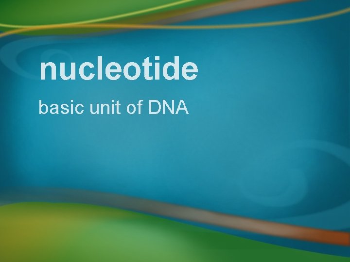 nucleotide basic unit of DNA 