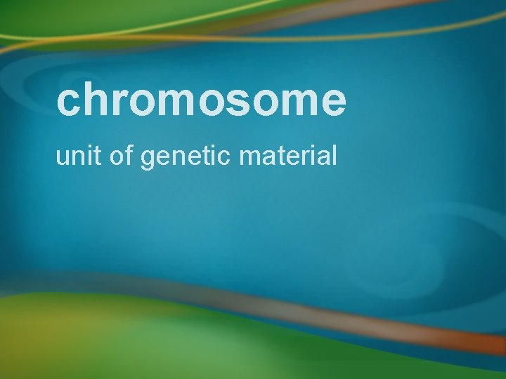 chromosome unit of genetic material 