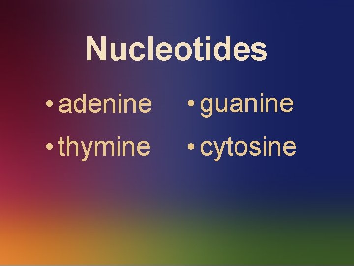 Nucleotides • adenine • guanine • thymine • cytosine 