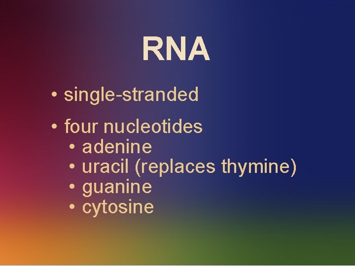 RNA • single-stranded • four nucleotides • adenine • uracil (replaces thymine) • guanine